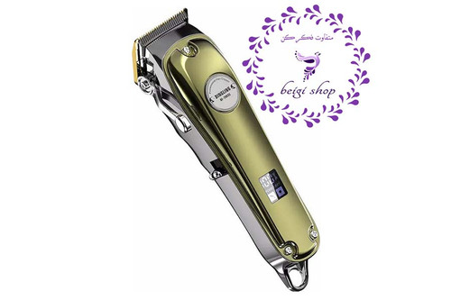 ماشین اصلاح دینگ لینگ فوق حرفه ای مدل RF-1983s مخصوص سالن دارها